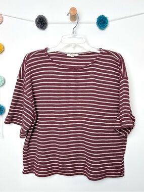 Madewell Stripe Embroidered Boxy Knit Plum T-Shirt
